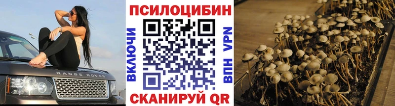 Галлюциногенные грибы мухоморы  Купить где  Котельнич 